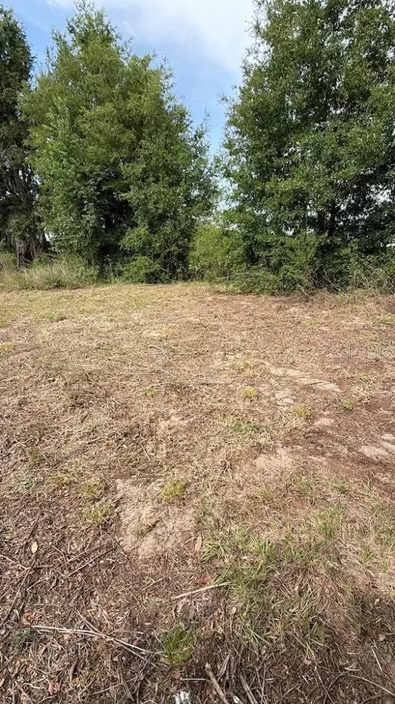 1370 SE 20th Terrace Sumterville FL 33585