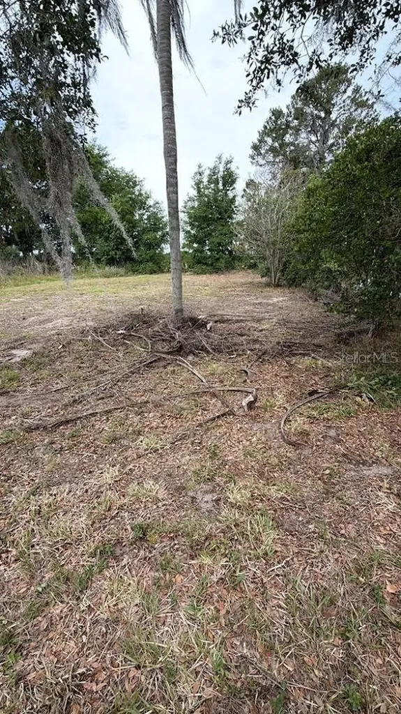 1370 SE 20th Terrace Sumterville FL 33585