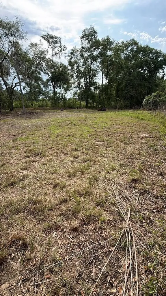 1370 SE 20th Terrace Sumterville FL 33585
