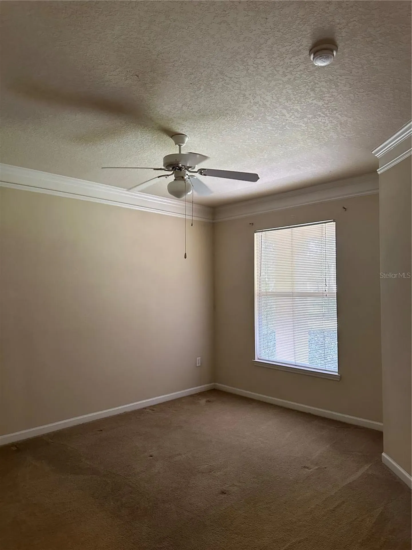 8855 Villa View Circle Orlando FL 32821