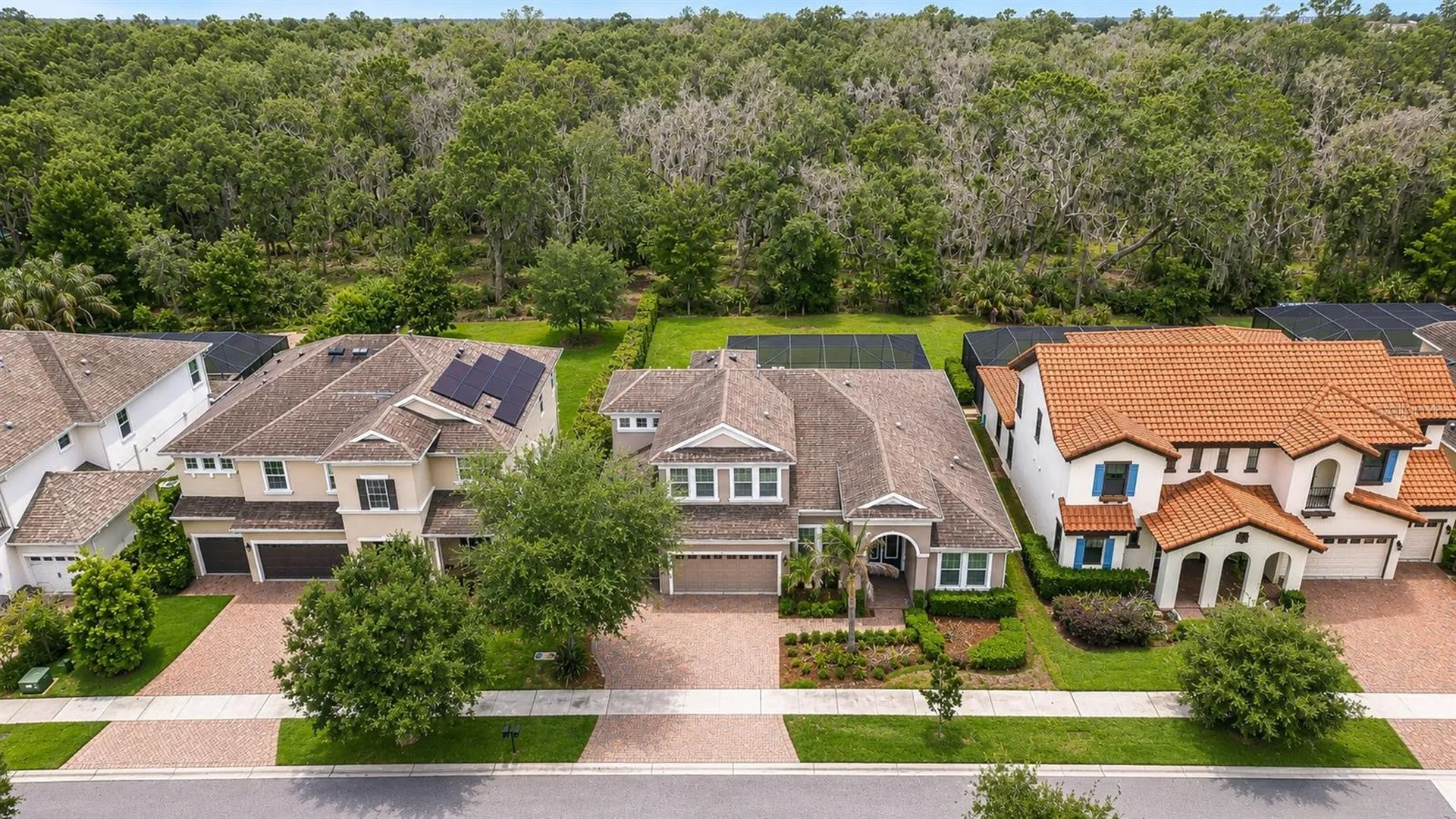 6335 Knob Tree Drive Lithia FL 33547