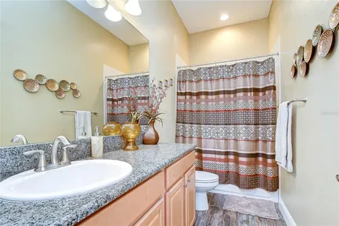 6335 Knob Tree Drive Lithia FL 33547