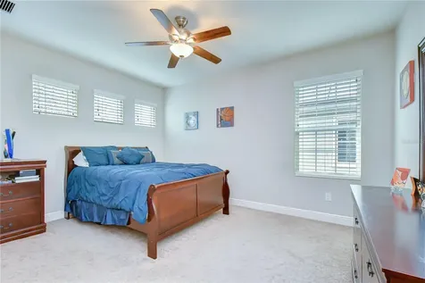 6335 Knob Tree Drive Lithia FL 33547