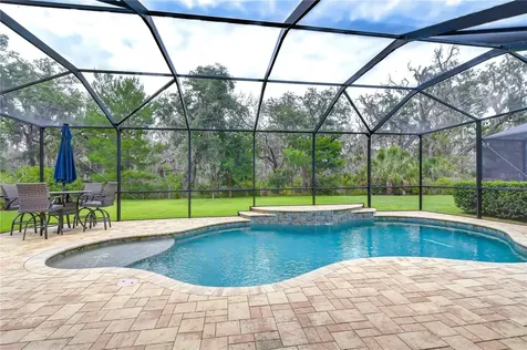 6335 Knob Tree Drive Lithia FL 33547