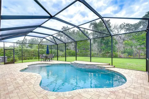 6335 Knob Tree Drive Lithia FL 33547