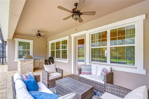 6335 Knob Tree Drive Lithia FL 33547
