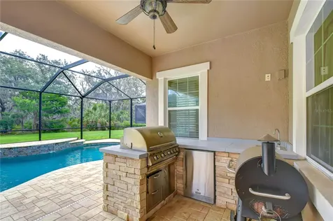 6335 Knob Tree Drive Lithia FL 33547