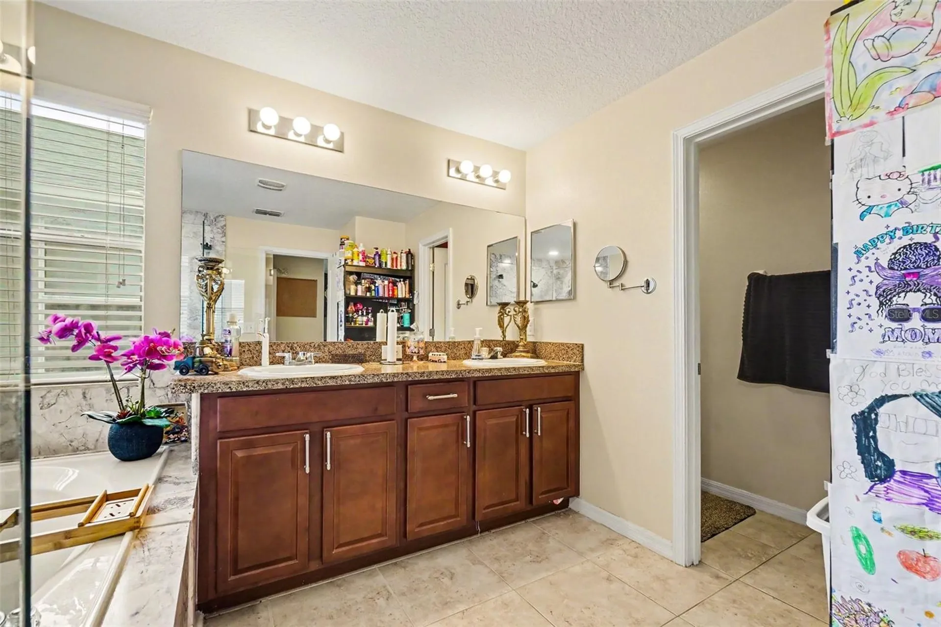 11334 Villas On The Green Drive Riverview FL 33579