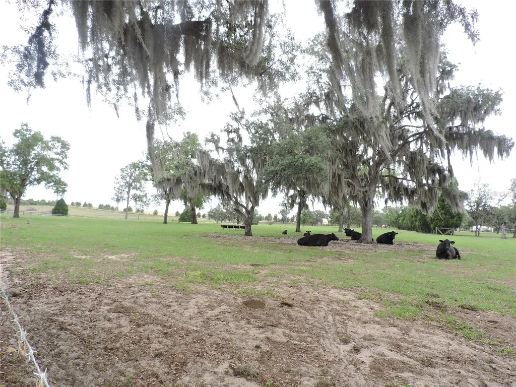 5757 Trask Road Fort Meade FL 33841