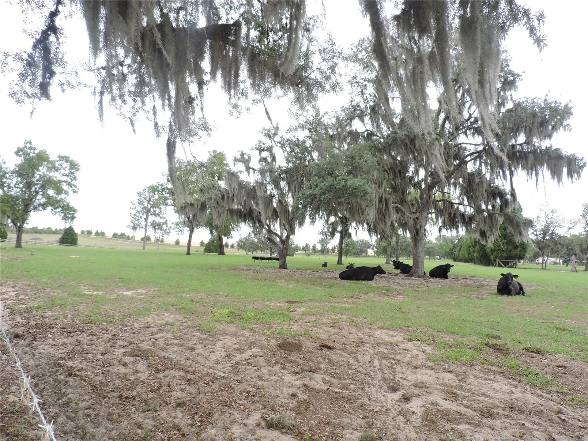 5757 Trask Road Fort Meade FL 33841