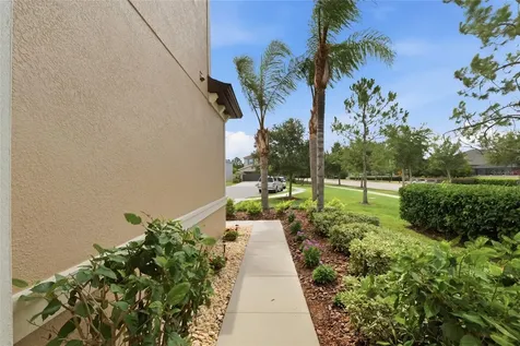 28953 Trevi Place Wesley Chapel FL 33543