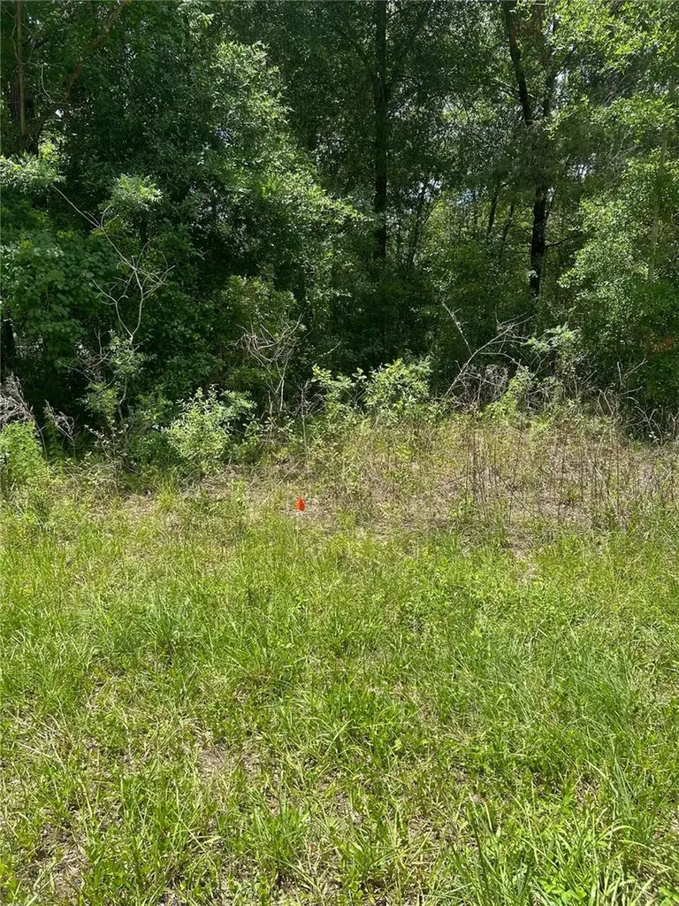 7654 N Udal Drive Citrus Springs FL 34434