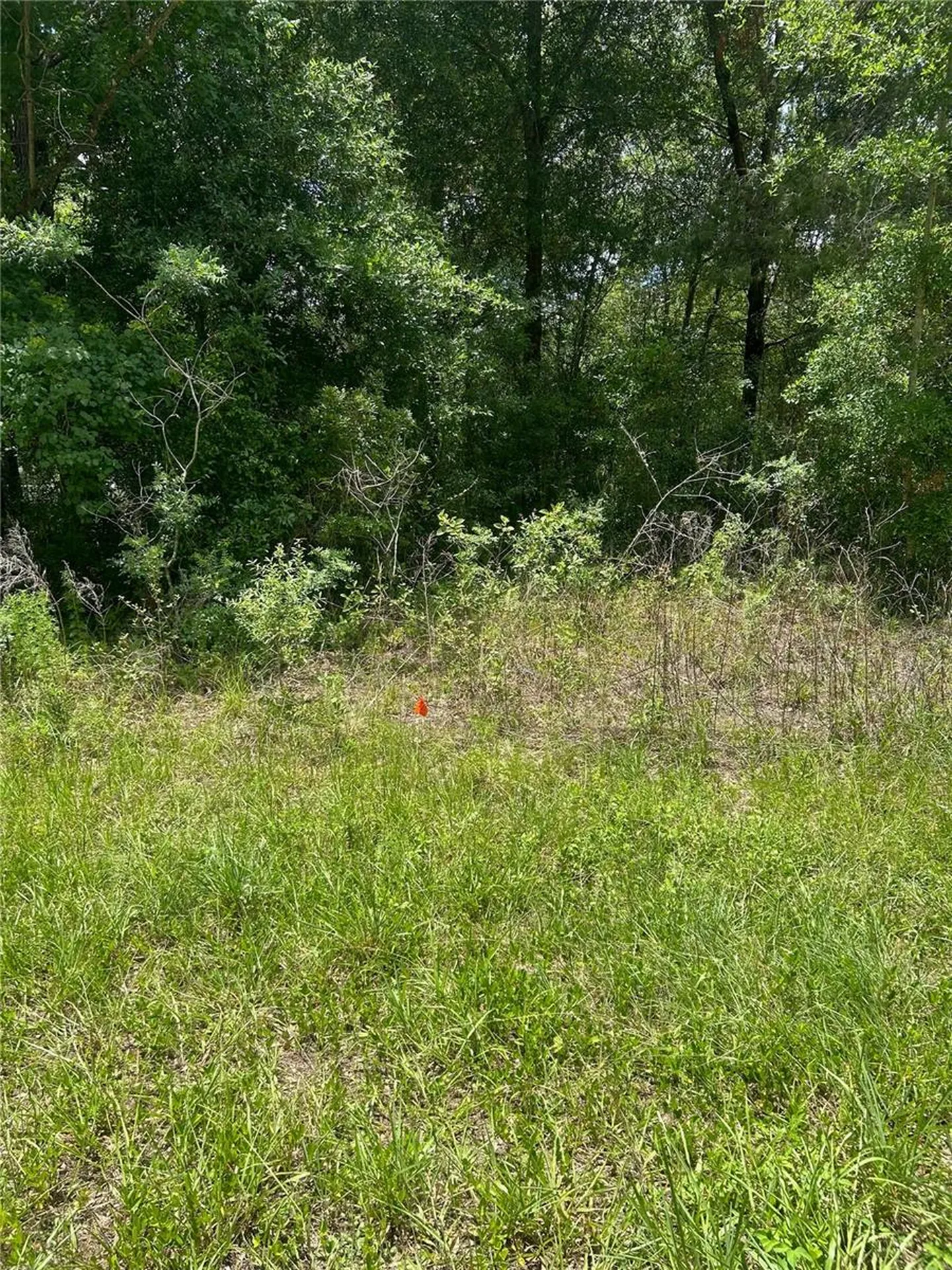 7654 N Udal Drive Citrus Springs FL 34434