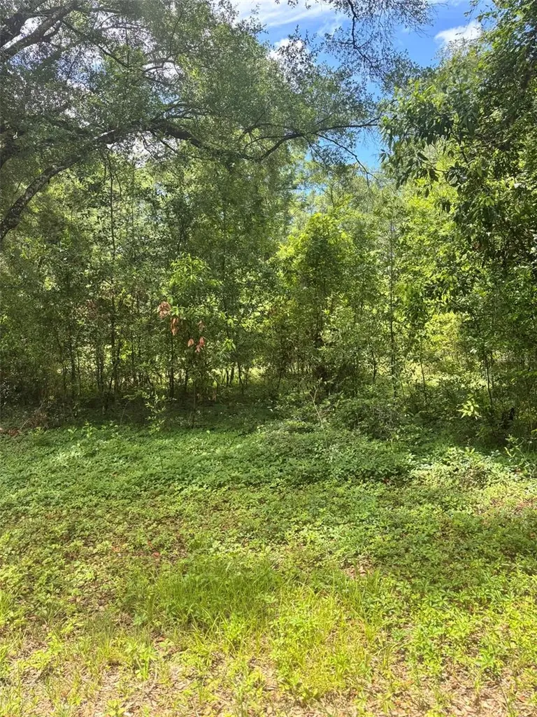 8230 NW 166th Street Fanning Springs FL 32693