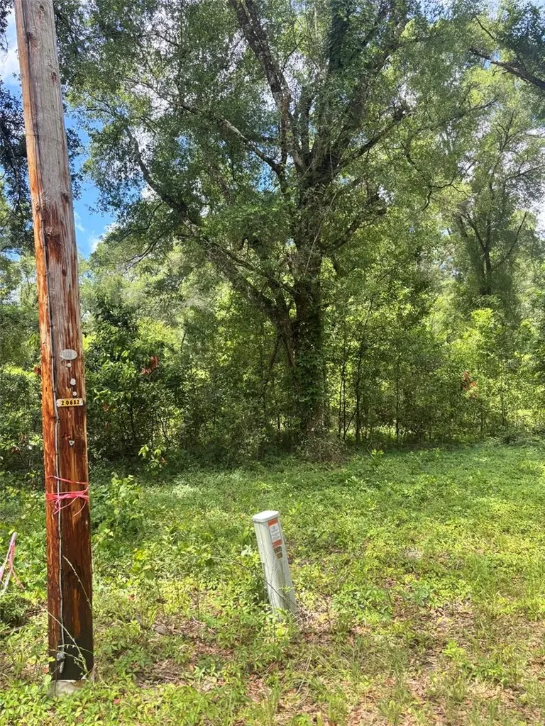8230 NW 166th Street Fanning Springs FL 32693