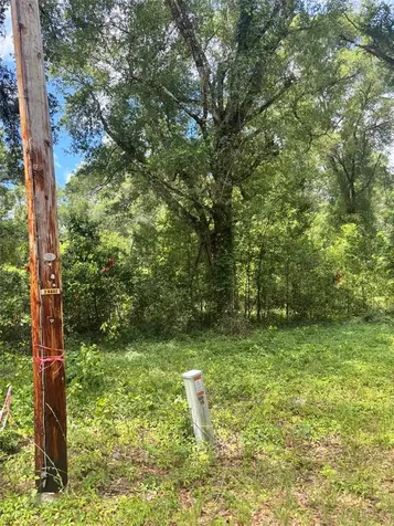 8230 NW 166th Street Fanning Springs FL 32693