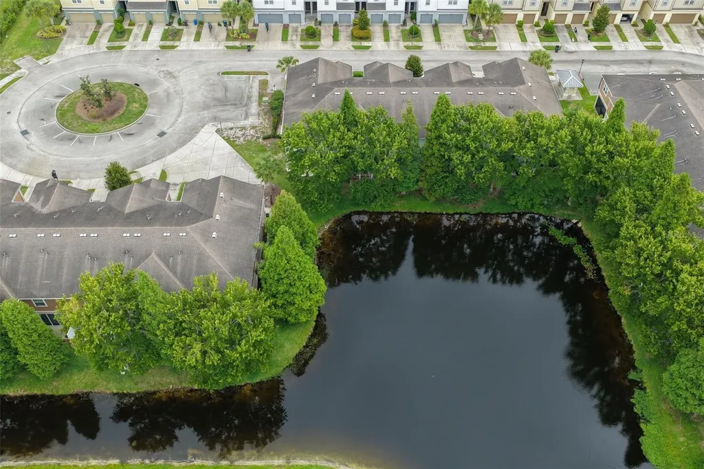 4751 White Sanderling Court Tampa FL 33619