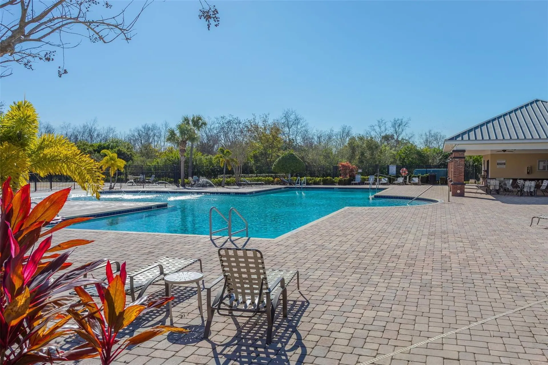 4751 White Sanderling Court Tampa FL 33619