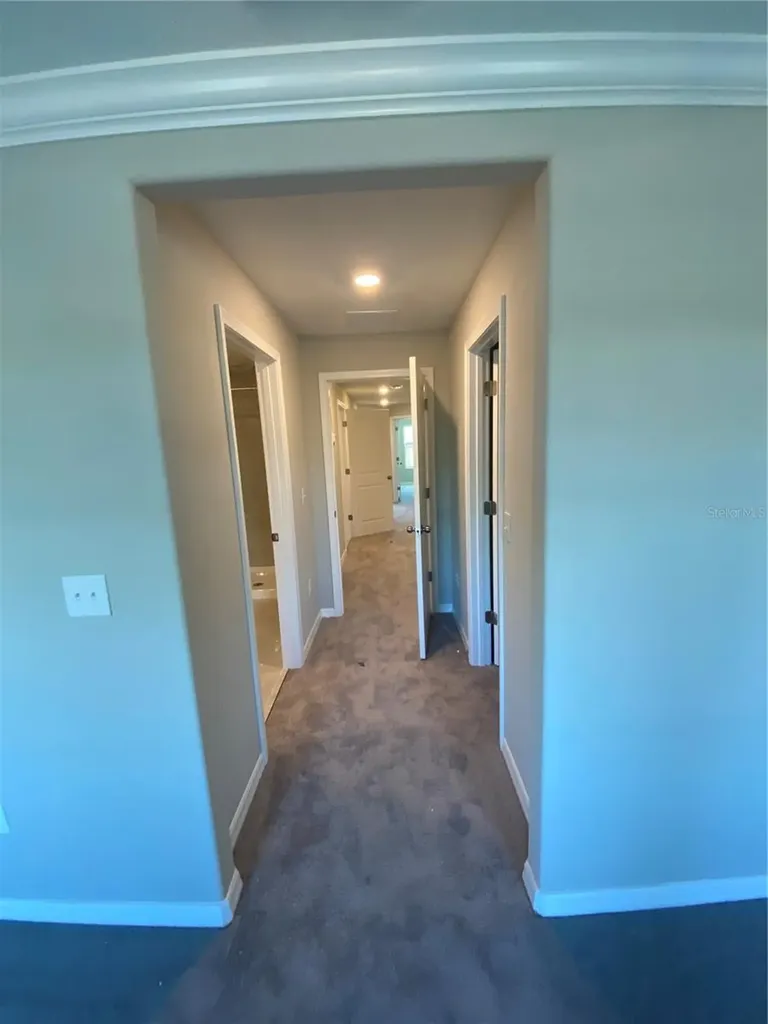 11736 Dumaine Valley Road Riverview FL 33579