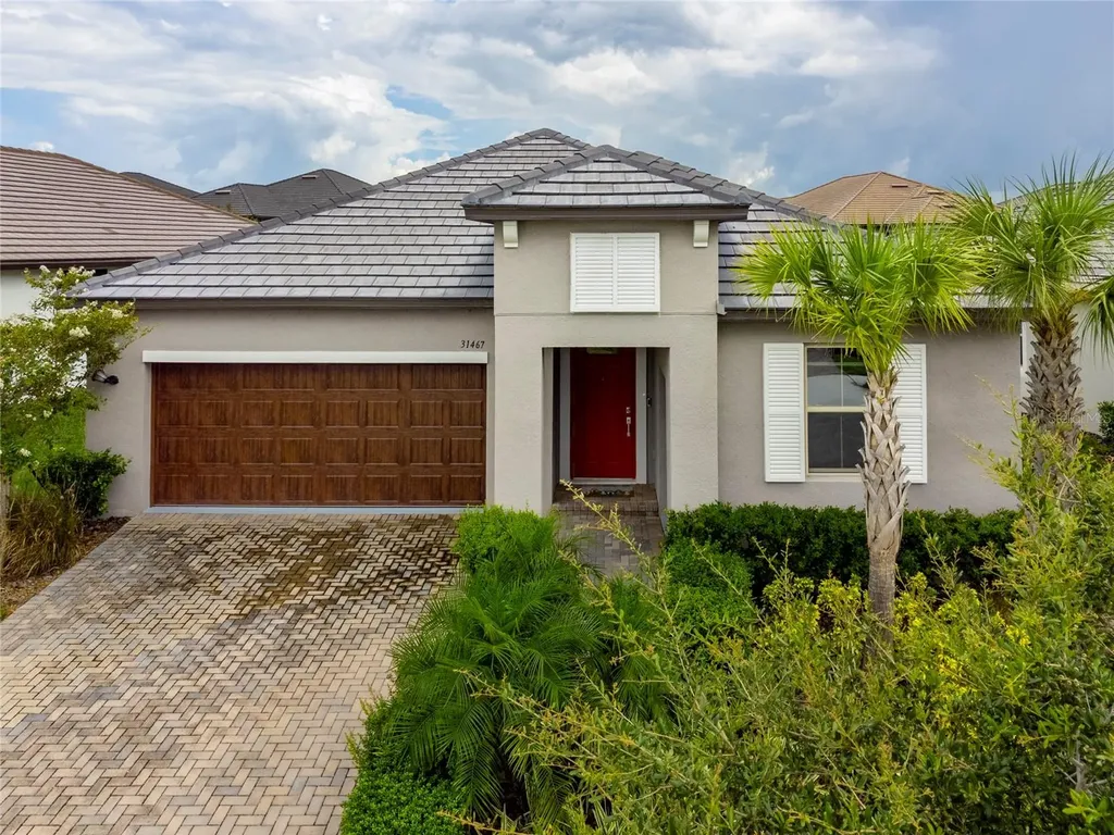 31467 Cannon Rush Drive San Antonio FL 33576
