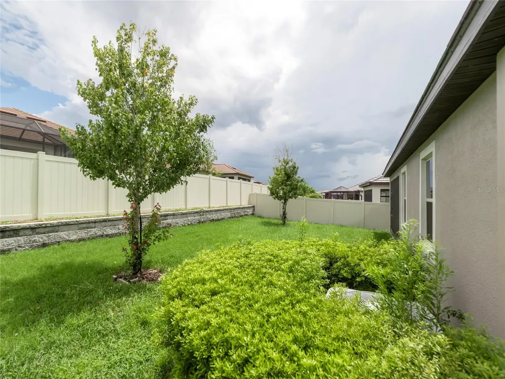 31467 Cannon Rush Drive San Antonio FL 33576