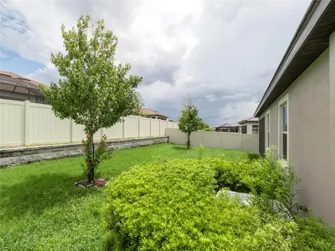 31467 Cannon Rush Drive San Antonio FL 33576
