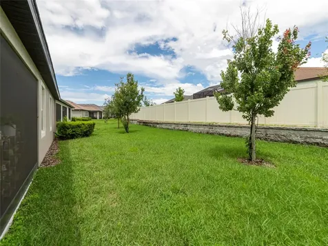 31467 Cannon Rush Drive San Antonio FL 33576