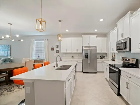 31467 Cannon Rush Drive San Antonio FL 33576