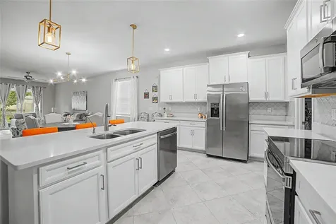 31467 Cannon Rush Drive San Antonio FL 33576