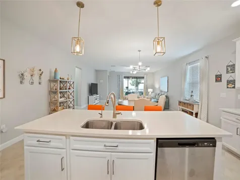 31467 Cannon Rush Drive San Antonio FL 33576