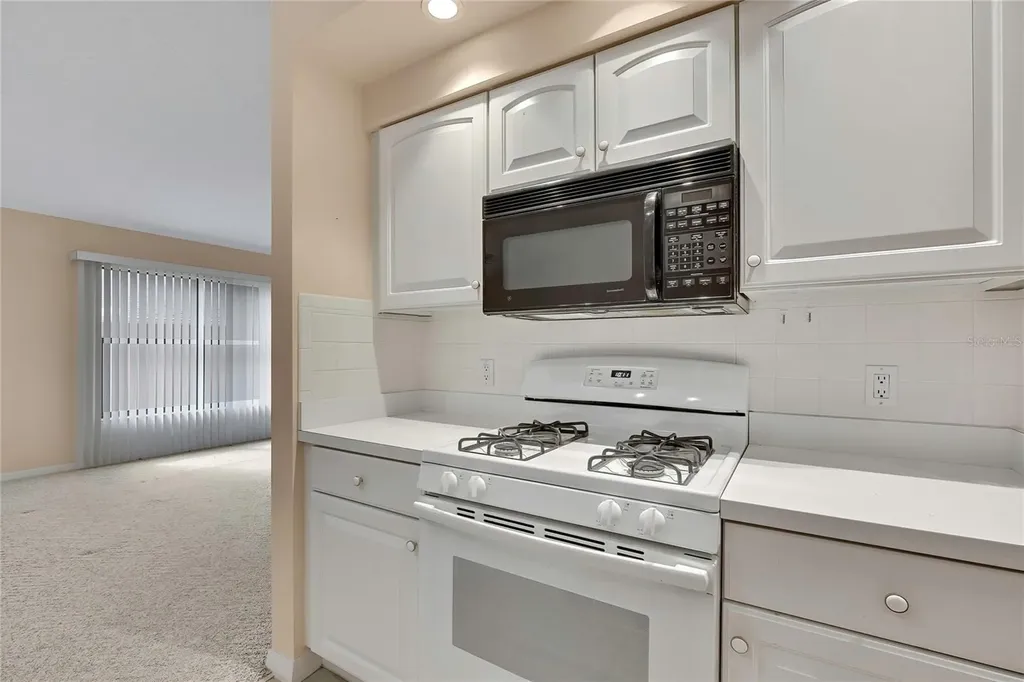 11103 Cherrywood Court Spring Hill FL 34609