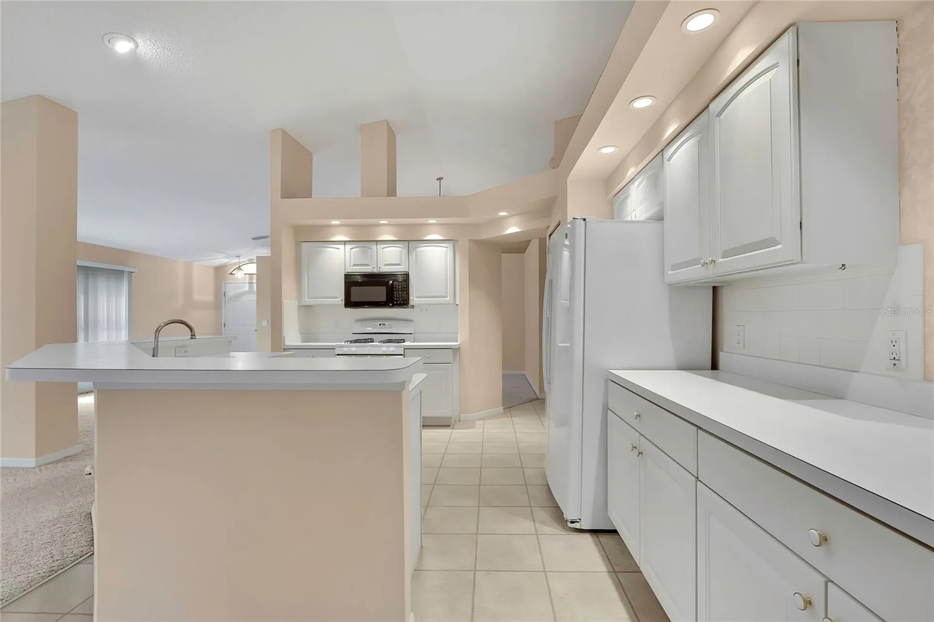 11103 Cherrywood Court Spring Hill FL 34609