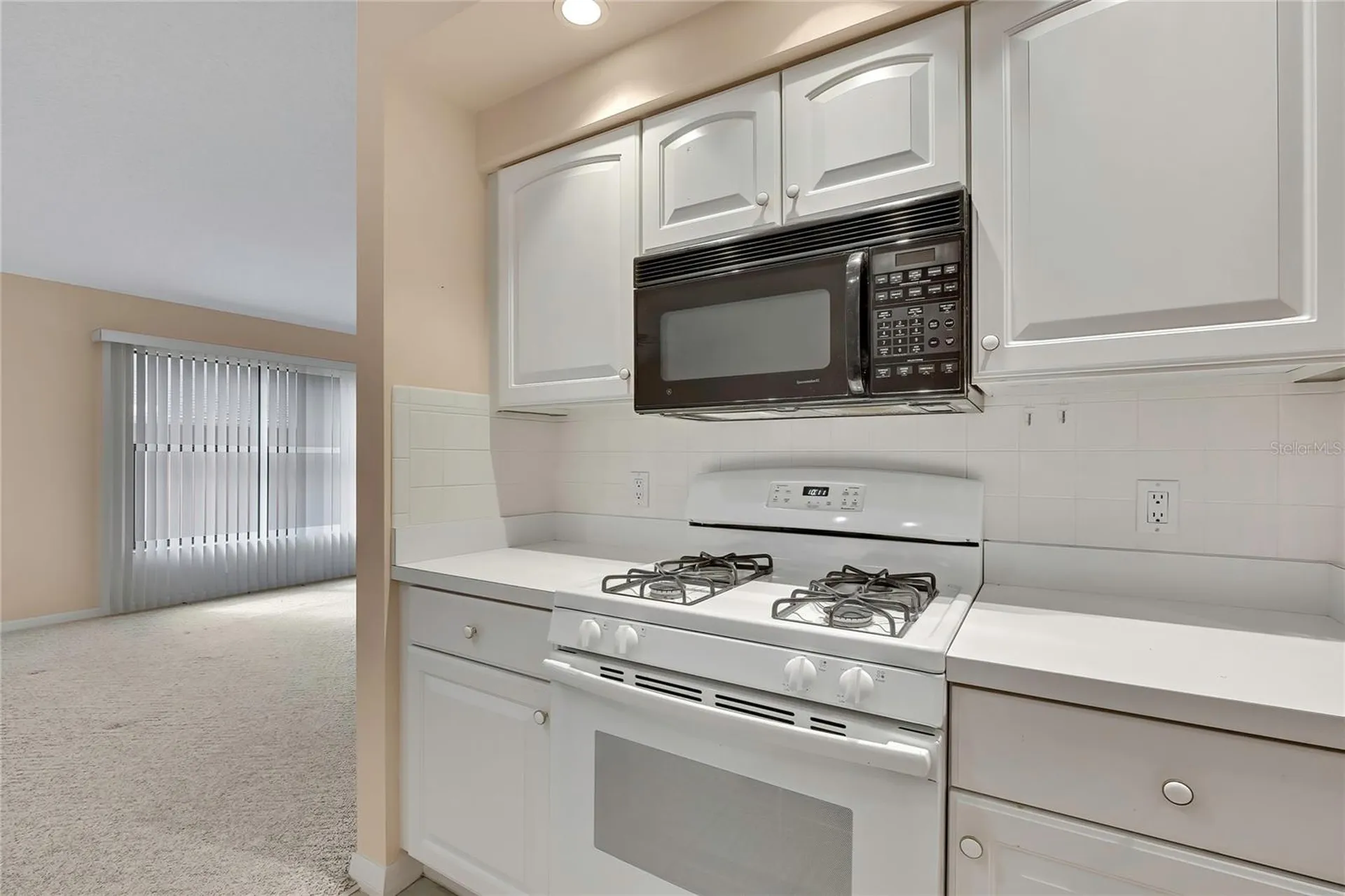11103 Cherrywood Court Spring Hill FL 34609