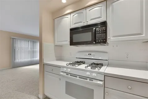 11103 Cherrywood Court Spring Hill FL 34609