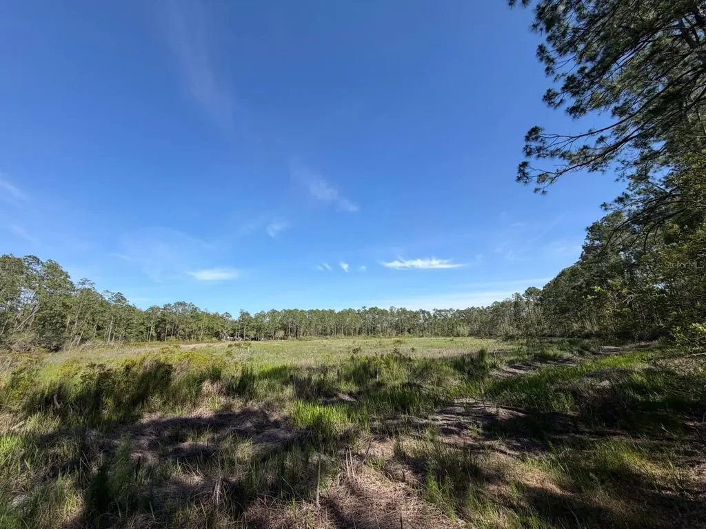 Tbd NE 114 Ave Road Fort Mc Coy FL 32134