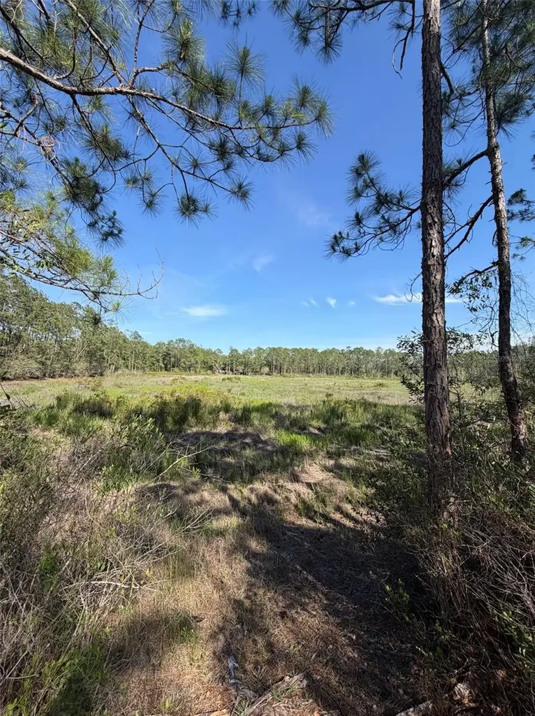 Tbd NE 114 Ave Road Fort Mc Coy FL 32134