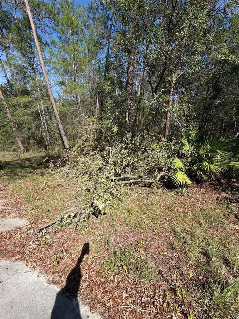 Tbd NE 114 Ave Road Fort Mc Coy FL 32134