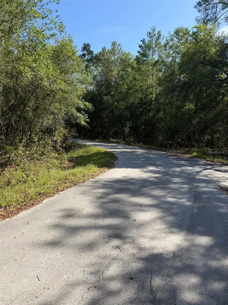 Tbd NE 114 Ave Road Fort Mc Coy FL 32134