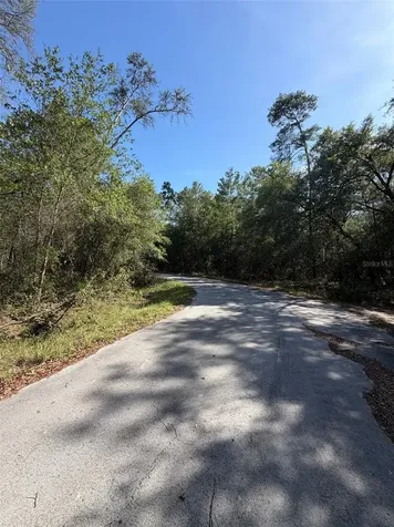 Tbd NE 114 Ave Road Fort Mc Coy FL 32134