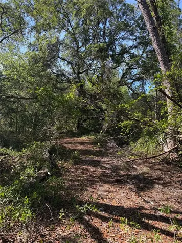 Tbd NE 114 Ave Road Fort Mc Coy FL 32134