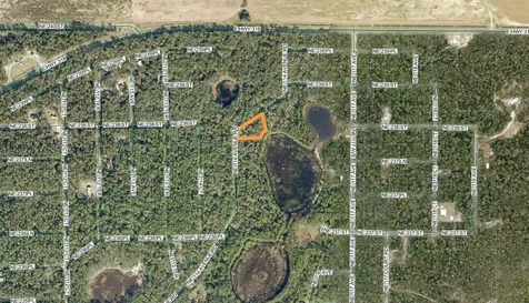 Tbd NE 114 Ave Road Fort Mc Coy FL 32134