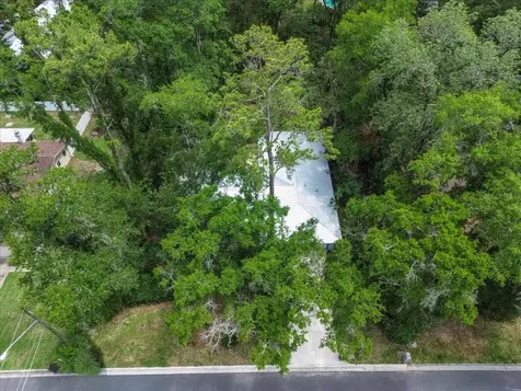 4003 NW 34th Place Gainesville FL 32606