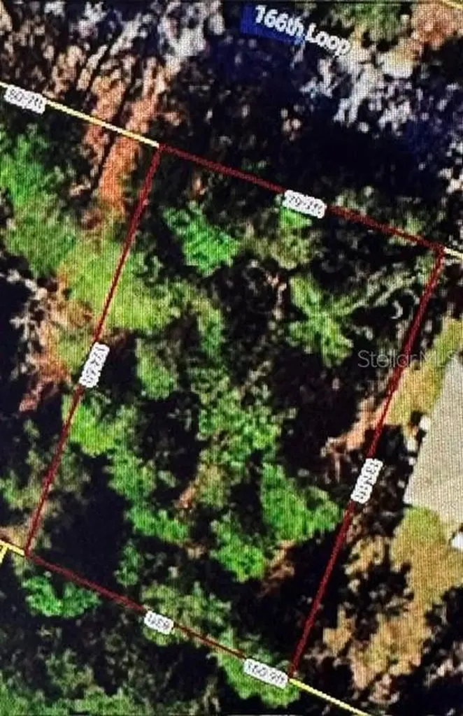 SW 116th Loop Ocala FL 34473