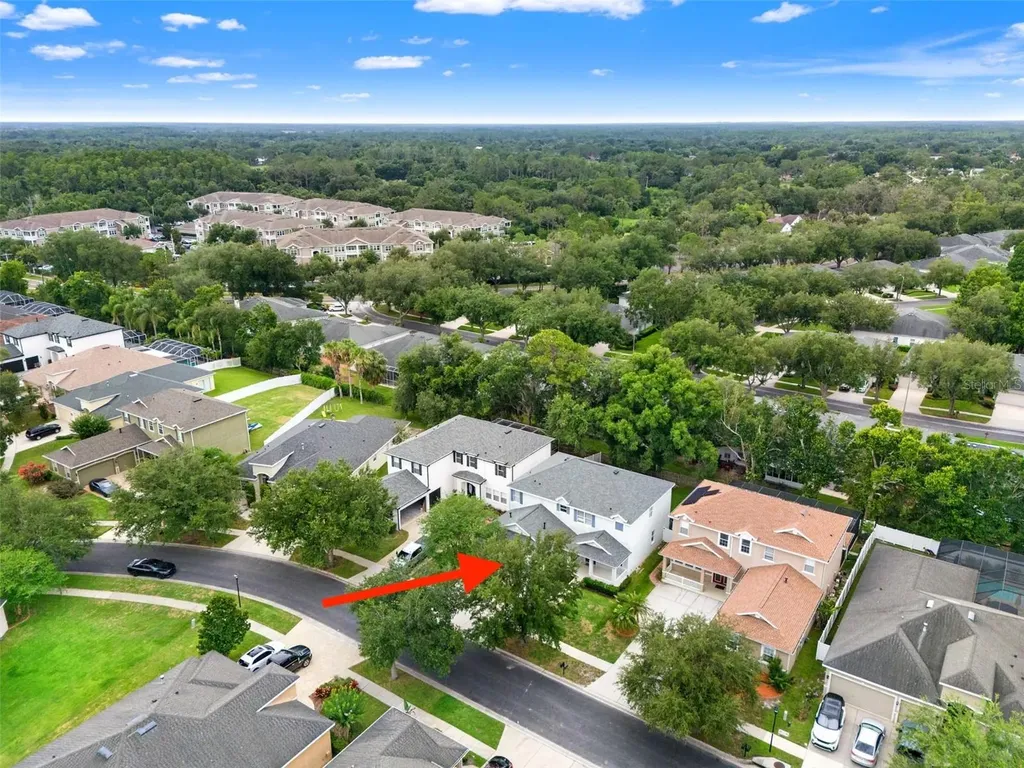 20008 Bluff Oak Boulevard Tampa FL 33647