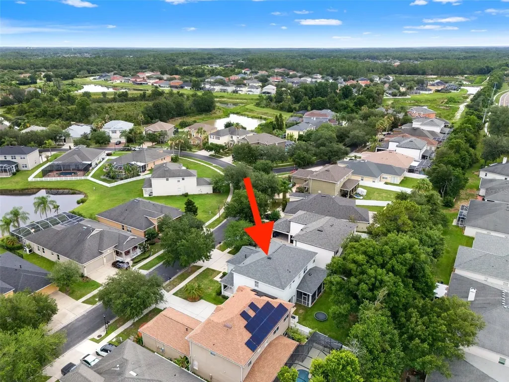 20008 Bluff Oak Boulevard Tampa FL 33647
