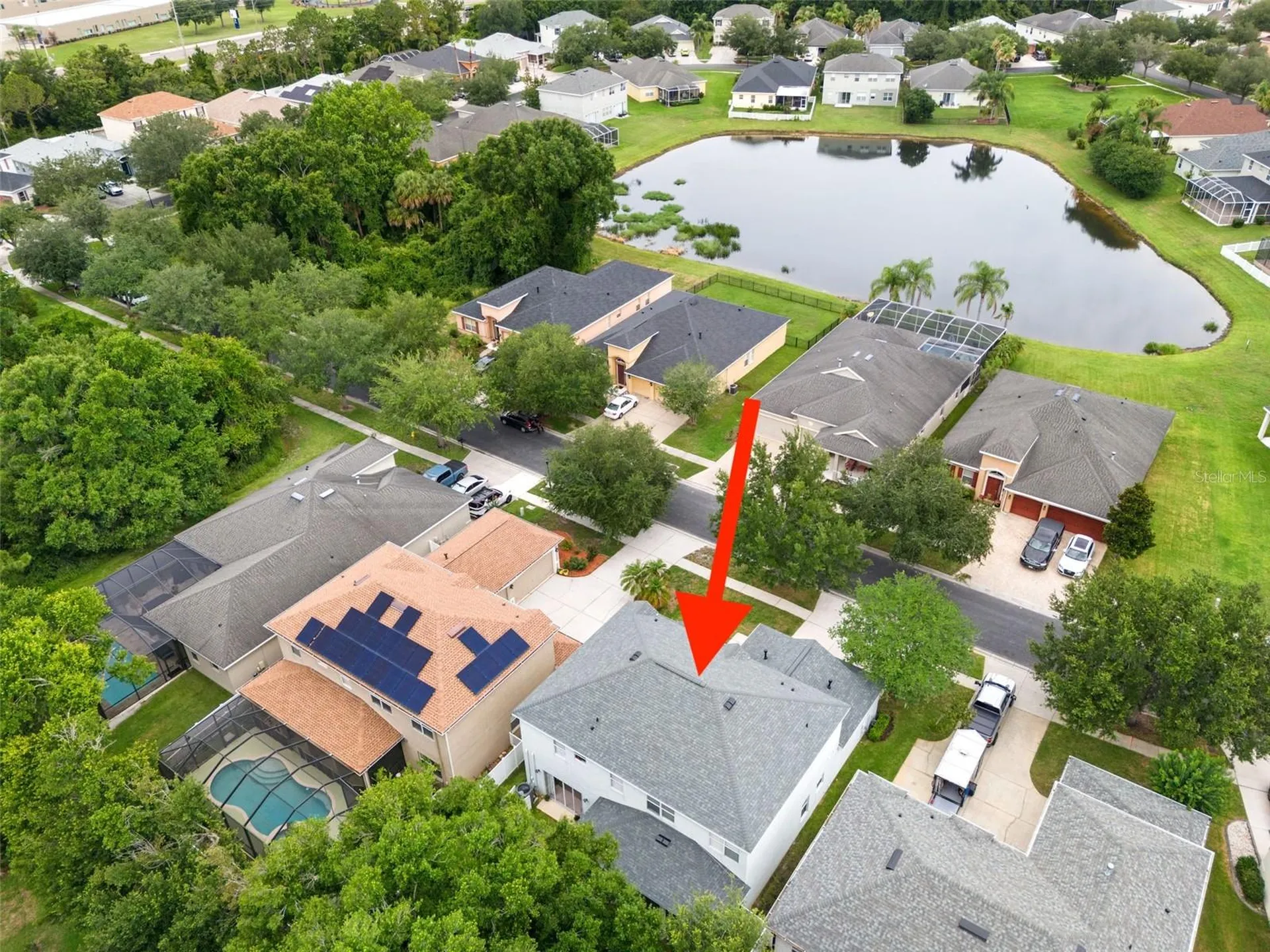 20008 Bluff Oak Boulevard Tampa FL 33647