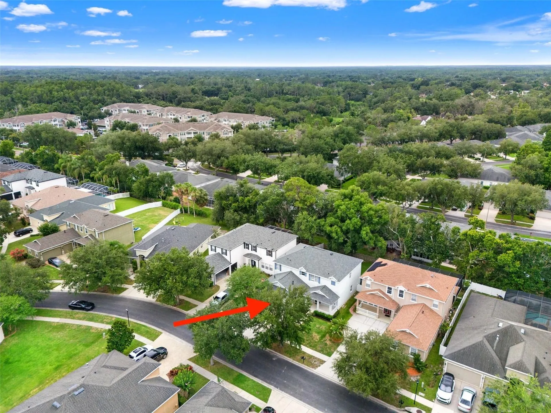 20008 Bluff Oak Boulevard Tampa FL 33647
