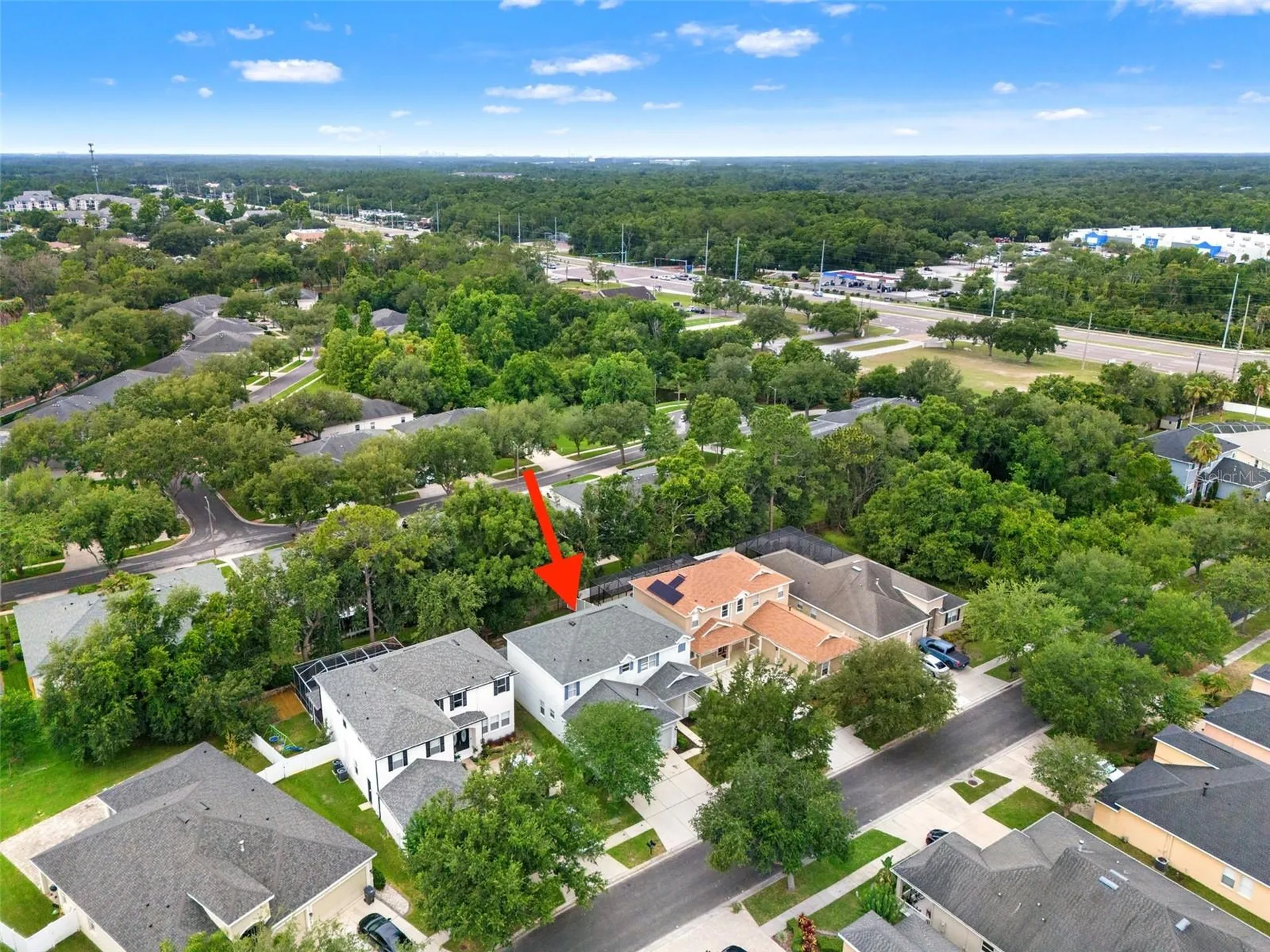 20008 Bluff Oak Boulevard Tampa FL 33647