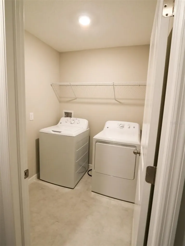 3715 Daisy Bloom Place Tampa FL 33619