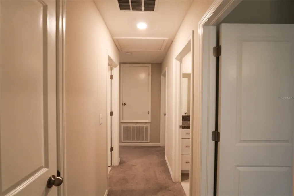 3715 Daisy Bloom Place Tampa FL 33619